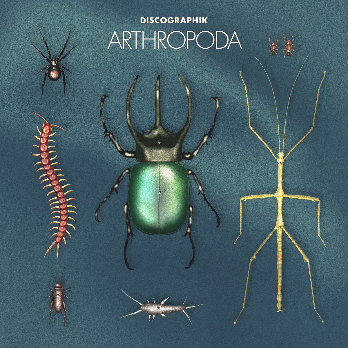 Arthrophoda Discographik
